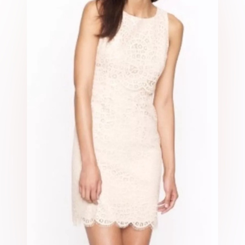 J. Crew Cream Lace Mini Dress